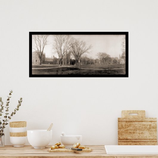 Yale Campus Birdseye写真1902 ポスター (キッチン)