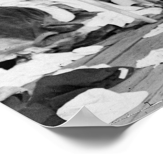 Yale Freshman Crew: 1916 ポスター (角)