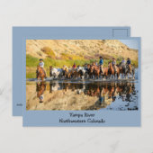 Yampa River - Western Travel ポストカード (正面/裏面)