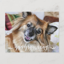 YAPPY HOWLIDAYS |のおもしろい犬の写真 シーズンポストカード