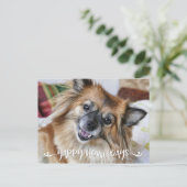 YAPPY HOWLIDAYS |のおもしろい犬の写真 シーズンポストカード (スタンド正面)