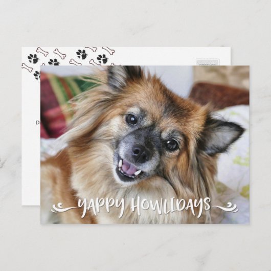 YAPPY HOWLIDAYS |のおもしろい犬の写真 シーズンポストカード (正面/裏面)