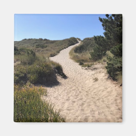 Yaquina Bay州レクリエーションサイト，オレゴン，ニューポート マグネット (正面)