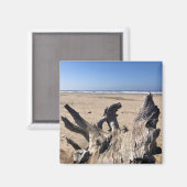 Yaquina Bay州レクリエーションサイト,オレゴン,ニューポート マグネット (正面/裏面)