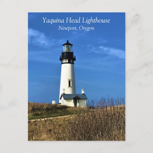 Yaquina Head Light house, Newport，オレゴン葉書 ポストカード (正面)