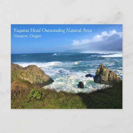 Yaquina Head Outstanding Natural Area,オレゴン州ポスト ポストカード (正面)