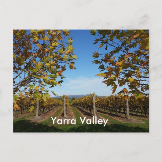 Yarra Valley Vineyard，メルボルン，オーストラリア ポストカード (正面)