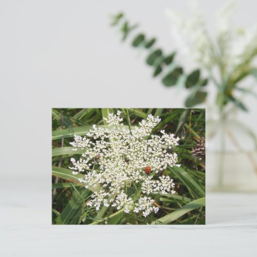 YarrowのLadybug ポストカード (スタンド正面)