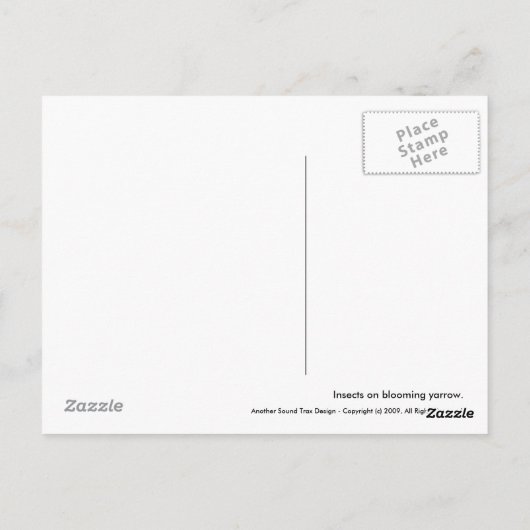 YarrowのLadybug ポストカード (裏面)