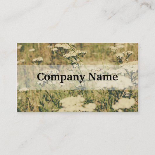 Yarrow分野、写真上の緑のレトロフィルター 名刺 (正面)
