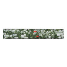 Yarrow Ptarmica "真珠"のマルタ十字