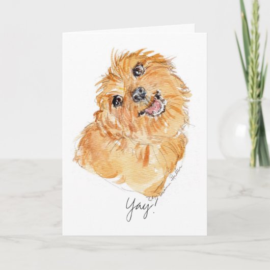 YAy! b'dayカードYDP犬の思考 カード (正面)