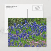 Yeager Creek Rd., Johnson City, TX ポストカード (正面/裏面)