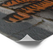 Year Of the Goat Sheep Ram Graffiti ポスター (角)