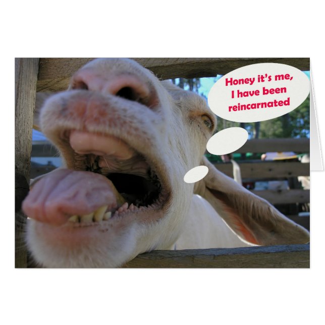 Yeeのサンザシのヤギ-カード (正面横)