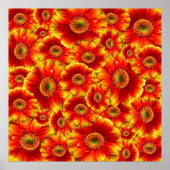 Yellow and Orange Gerbera Daisies ポスター (正面)