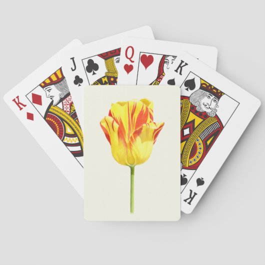 Yellow and red tulip トランプ (裏面)