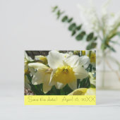 Yellow and White Daffodil "Save the Date"ポストカード 案内ポストカード (スタンド正面)