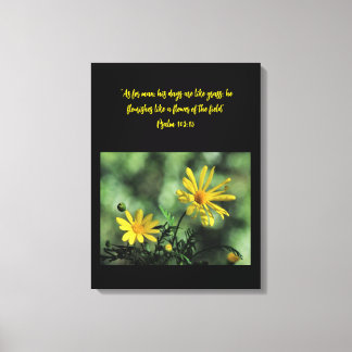 Yellow Aster Wildflowers Canvas Print キャンバスプリント