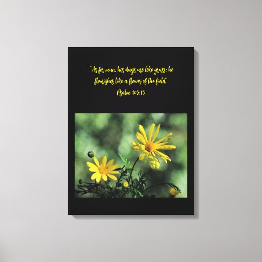 Yellow Aster Wildflowers Canvas Print キャンバスプリント (正面)