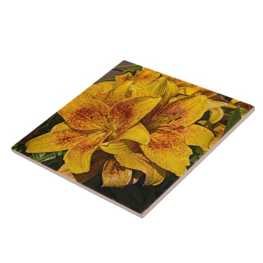 Yellow Astiatic Lily Blooms Floral タイル (側面)