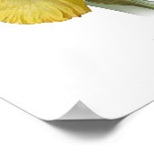 Yellow Bearded Iris Original Art Print ポスター (角)