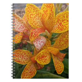 Yellow Canna Lily with Red Speckles Floral ノートブック