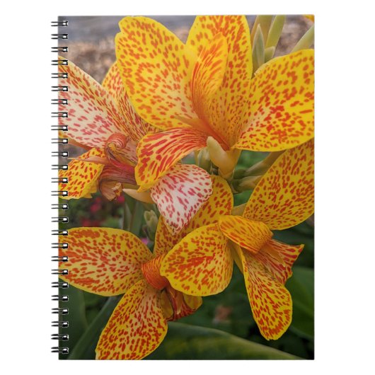 Yellow Canna Lily with Red Speckles Floral ノートブック (正面)