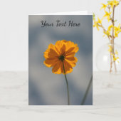 Yellow Coreopsis カード (黄色い花)