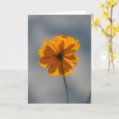 Yellow Coreopsis カード (黄色い花)