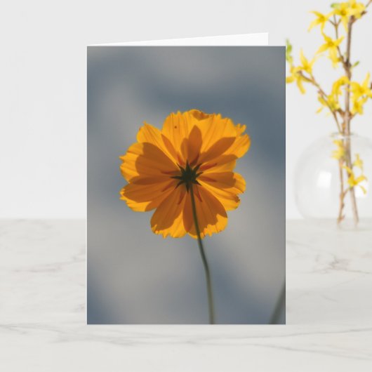 Yellow Coreopsis カード (黄色い花)