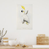 Yellow Crested Cockatoo Poster ポスター (キッチン)