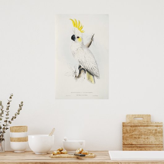 Yellow Crested Cockatoo Poster ポスター (キッチン)
