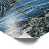 Yellow-Crowned Night Heron フォトプリント (角)