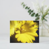 Yellow Daffodil Flower Photography ポストカード (スタンド正面)