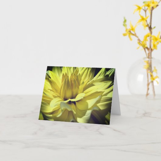 Yellow Dahlia Flower Petals Photography Note カード (黄色い花)