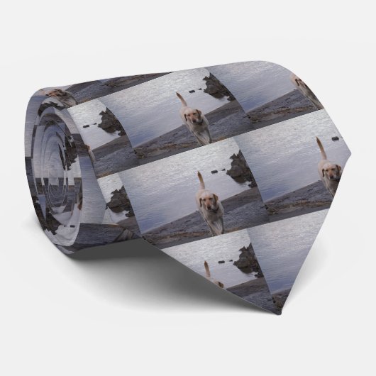 Yellow Dog on dock Yellow Labrador retriever ネクタイ (ロール)