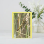 Yellow Dragonfly Close Up DIY ポストカード (スタンド正面)