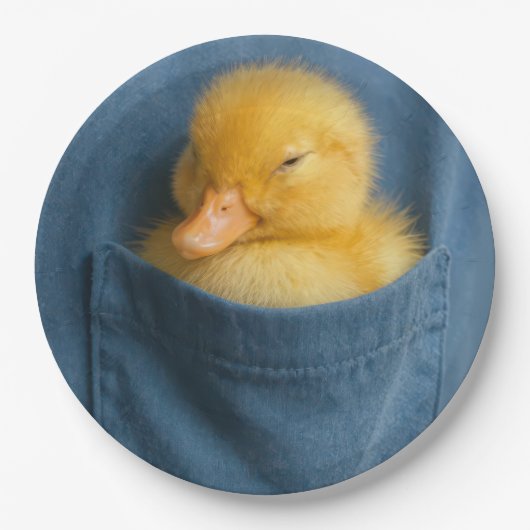 Yellow Duckling In a T-shirt Pocket ペーパープレート (正面)