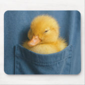 Yellow Duckling In a T-shirt Pocket マウスパッド (正面)