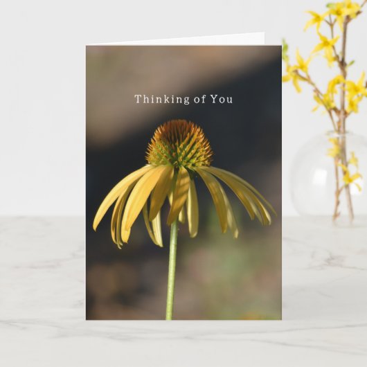 Yellow Echinacea Birthday (photography by me) カード (黄色い花)