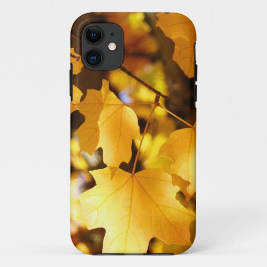 Yellow Fall Tree Leaves Autumn iPhone 5 カース Case-Mate iPhoneケース (裏面)