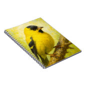 Yellow Finch Notebook | Goldfinch Bird Art Journal ノートブック (右側)