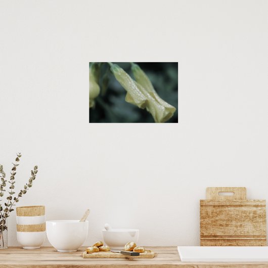 Yellow Flowers - Morning Dew ポスター (キッチン)