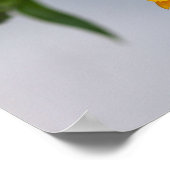 Yellow Gerbera Daisy Wildflower ポスター (角)