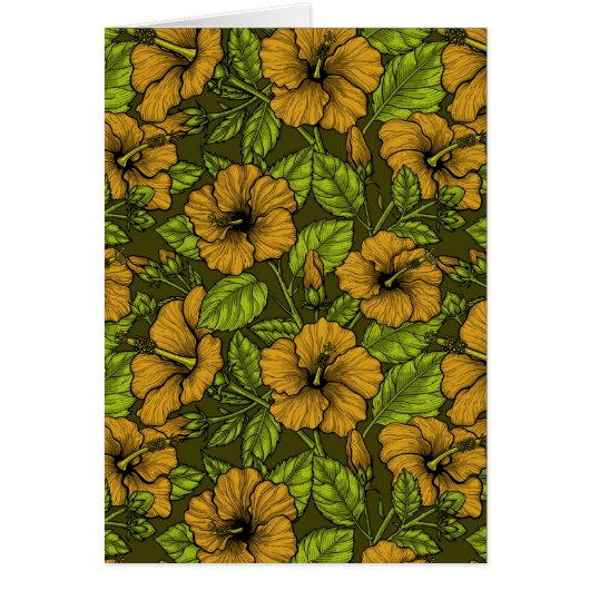 Yellow hibiscus (正面)