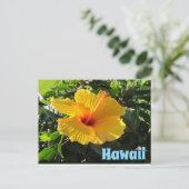 Yellow Hibiscus Flower Hawaii Postcard ポストカード (スタンド正面)