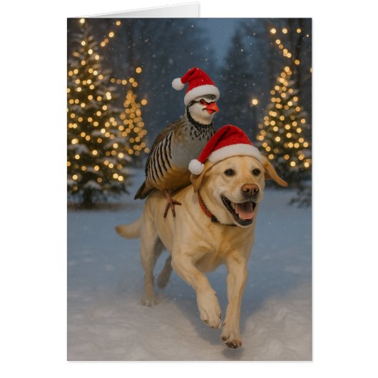 Yellow Labrador and Partridge Christmas card (正面)