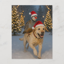 Yellow Labrador and Partridge Christmas postcard ポストカード