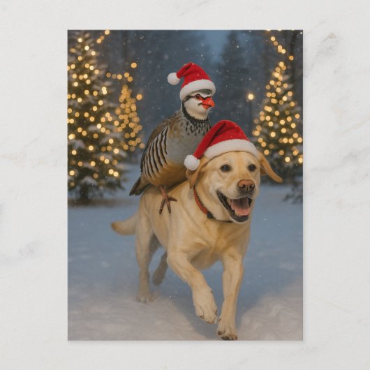 Yellow Labrador and Partridge Christmas postcard ポストカード (正面)